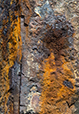 Patina 22